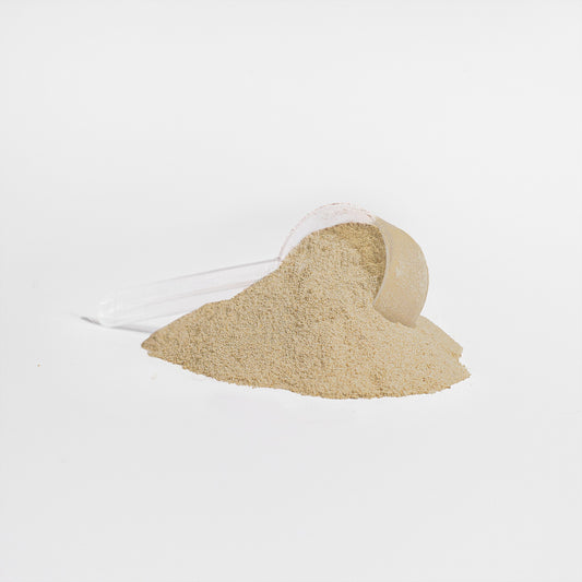 Plant Protein (Vanilla) - Rising For People Coffee Co.Proteins & BlendsRising For People Coffee Co.Rising For People Coffee Co.JTP7PPVAPlant Protein (Vanilla)