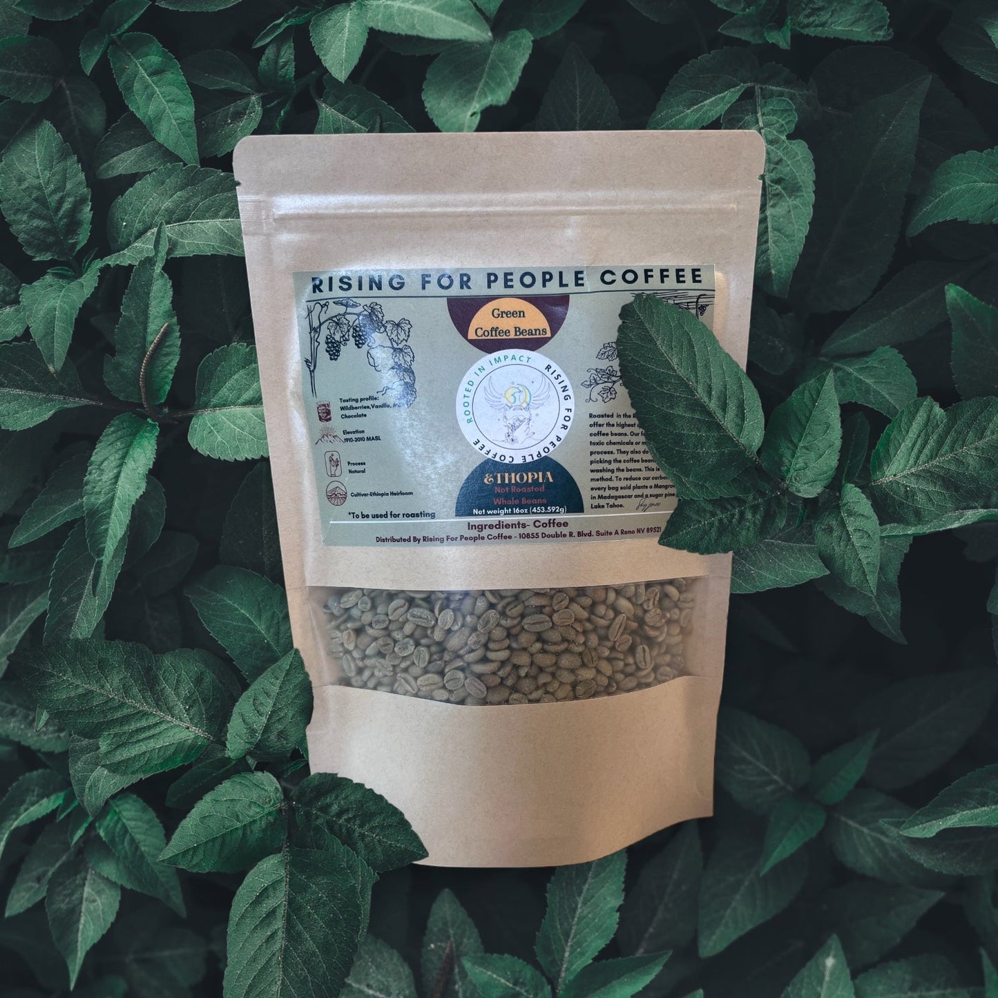 Ethiopia Natural - Green Coffee Beans - Rising For People Coffee Co.CoffeeRising For People Coffee Co.Rising For People Coffee Co.197644529100Rising for People Coffee bag— Ethiopia Natural Green Coffee Beans (RAW), Latte, Cappuccino, Coffee shop, Coffee shop near, Coffee near me, Roasted coffee, Speciality coffee, Green coffee, Black coffee, Espresso machine, French press, Espresso, Takeout coffee near