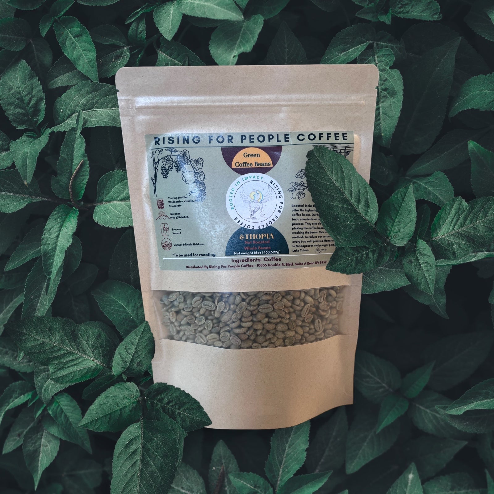 Ethiopia Natural - Green Coffee Beans - Rising For People Coffee Co.CoffeeRising For People Coffee Co.Rising For People Coffee Co.197644529100Rising for People Coffee bag— Ethiopia Natural Green Coffee Beans (RAW), Latte, Cappuccino, Coffee shop, Coffee shop near, Coffee near me, Roasted coffee, Speciality coffee, Green coffee, Black coffee, Espresso machine, French press, Espresso, Takeout coffee near