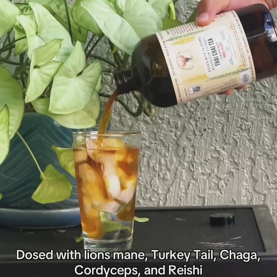 Rising for people coffee- Thai chai Tea concentrated doses with happy mushrooms, Chaga, turkey tail, Reishi, Cordyceps, lions mane, gourmet, organic chai tea concentrate video, Latte,
Cappuccino,
Coffee shop,
Coffee shop near,
Coffee near me,
Roasted coffee,
Speciality coffee,
Green coffee,
Black coffee,
Espresso machine,
French press,
Espresso,
Takeout coffee nea