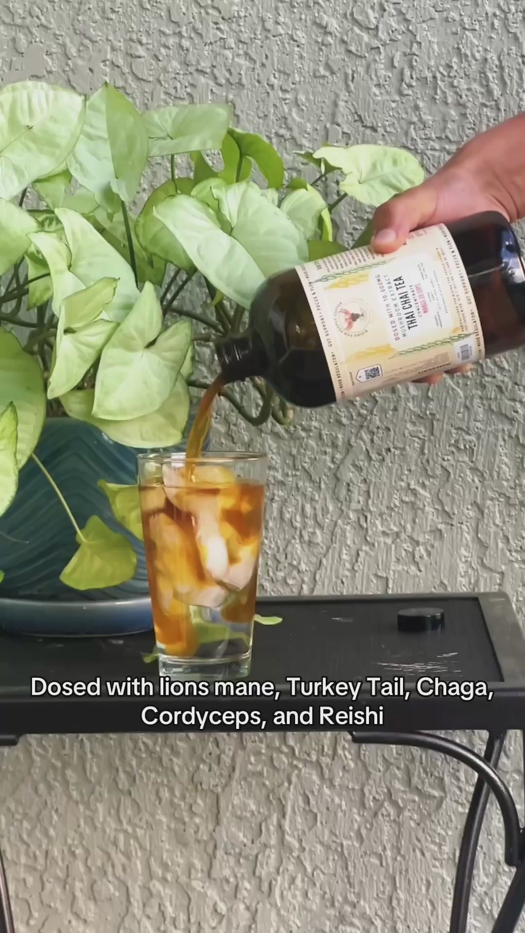 Rising for people coffee- Thai chai Tea concentrated doses with happy mushrooms, Chaga, turkey tail, Reishi, Cordyceps, lions mane, gourmet, organic chai tea concentrate video, Latte,
Cappuccino,
Coffee shop,
Coffee shop near,
Coffee near me,
Roasted coffee,
Speciality coffee,
Green coffee,
Black coffee,
Espresso machine,
French press,
Espresso,
Takeout coffee nea