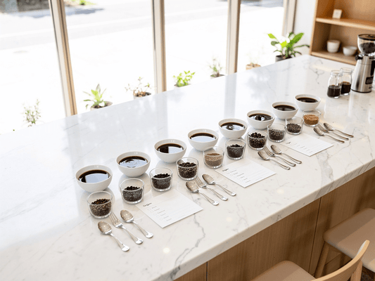 Spring Origins Series: May 3 · Cupping 101: Taste the Difference - Rising For People Coffee Co.Event TicketsRising For People Coffee Co.Rising For People Coffee Co.Spring Origins Series: May 3 · Cupping 101: Taste the Difference