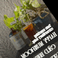 Rising For people coffee mushroom cold brew coffee bottle. Specialty gourmet concentrated cold brew dosed with lions mane, Chaga, Cordyceps, turkey tail, Reishi- video Latte,
Cappuccino,
Coffee shop,
Coffee shop near,
Coffee near me,
Roasted coffee,
Speciality coffee,
Green coffee,
Black coffee,
Espresso machine,
French press,
Espresso,
Takeout coffee near